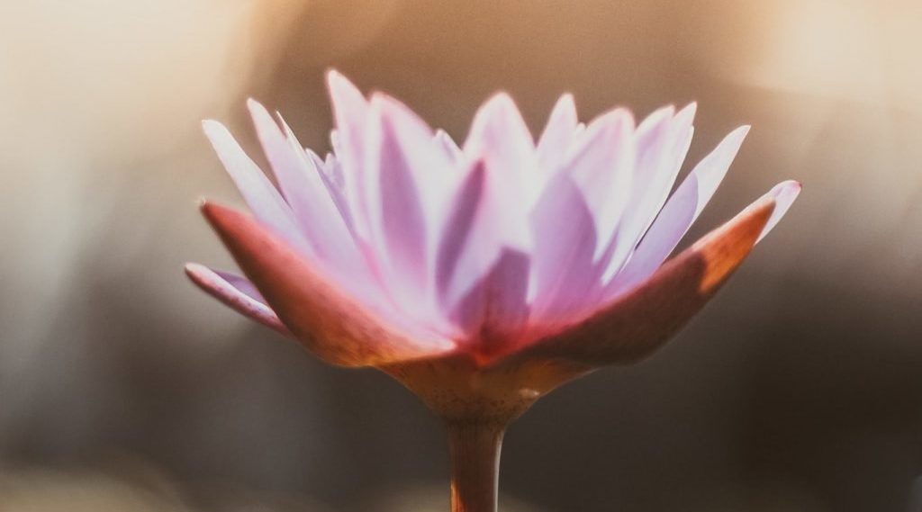 Bewustwording-1024x885