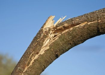 Blog - Patronen doorbreken