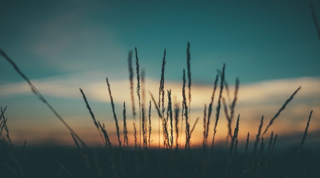 Photo-by-Aperture-Vintage-on-Unsplash-1800x1000-1024x569
