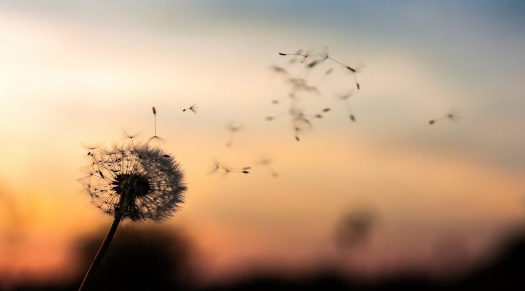 Photo-by-Dawid-Zawila-on-Unsplash-1165x665-1024x585-1024x585-1024x585